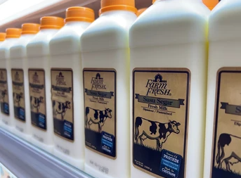 Farm Fresh Saham IPO