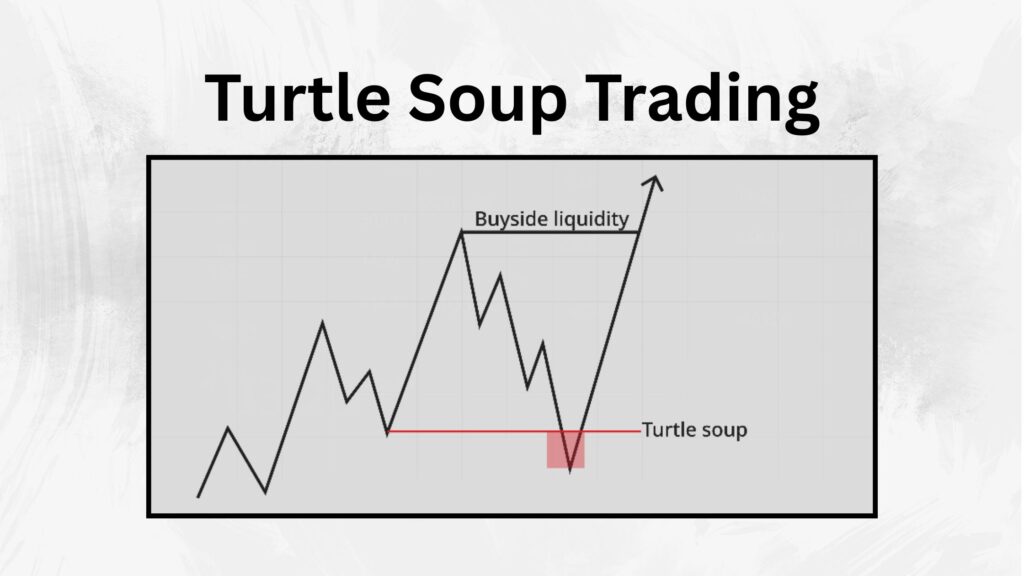 What is Turtle Soup Trading